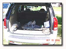 Jack Rusell in back of Saturn