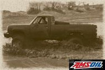 Motor oil designed for your 1980 Dodge Trucks W200